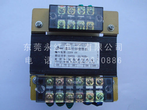 变压器300W